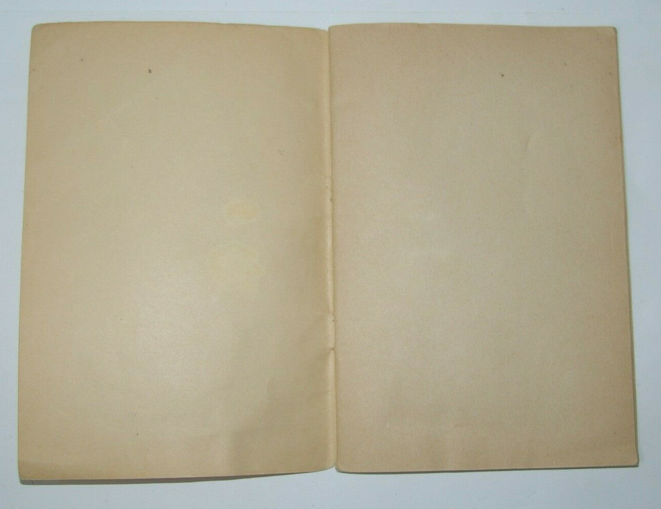 Book Jewish Judaica Passover Pesach Children Jerusalem 1947 חג הפסח בעיירתנו