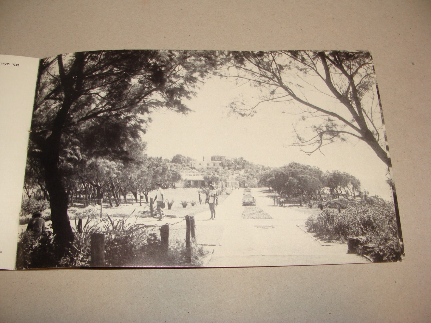 Photo Jewish 1950s Israel Israeli NATANYA Natania Guide Brochure Album Hebrew