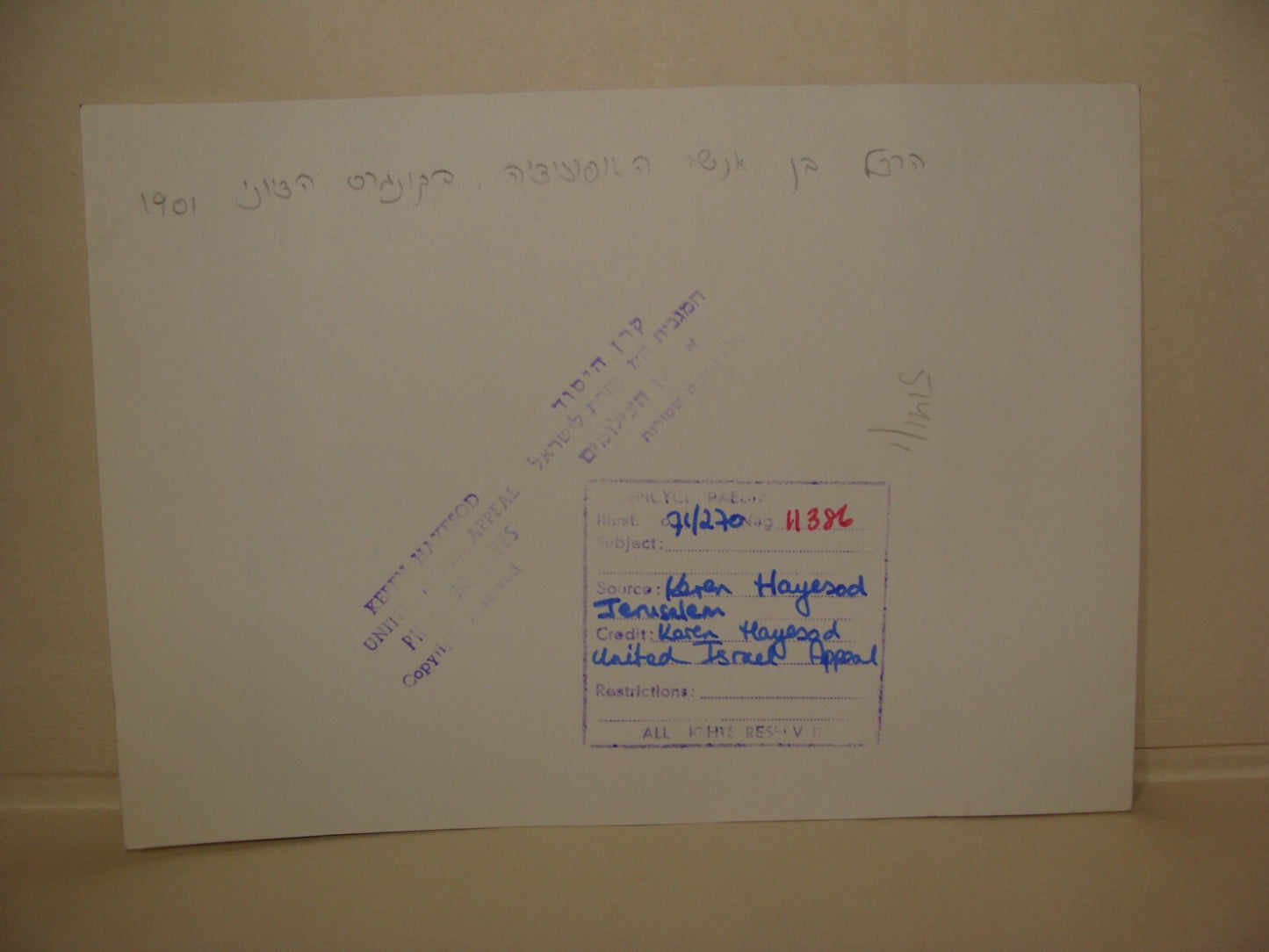 Photo Print, 1901 Basel Zionist Congress Jewish HERZL WEIZMANN USSISHKIN