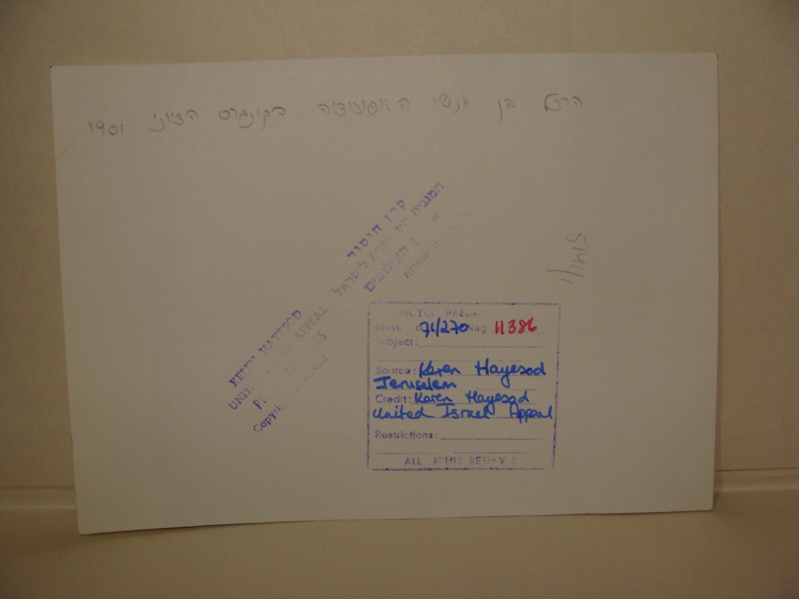 Photo Print, 1901 Basel Zionist Congress Jewish HERZL WEIZMANN USSISHKIN