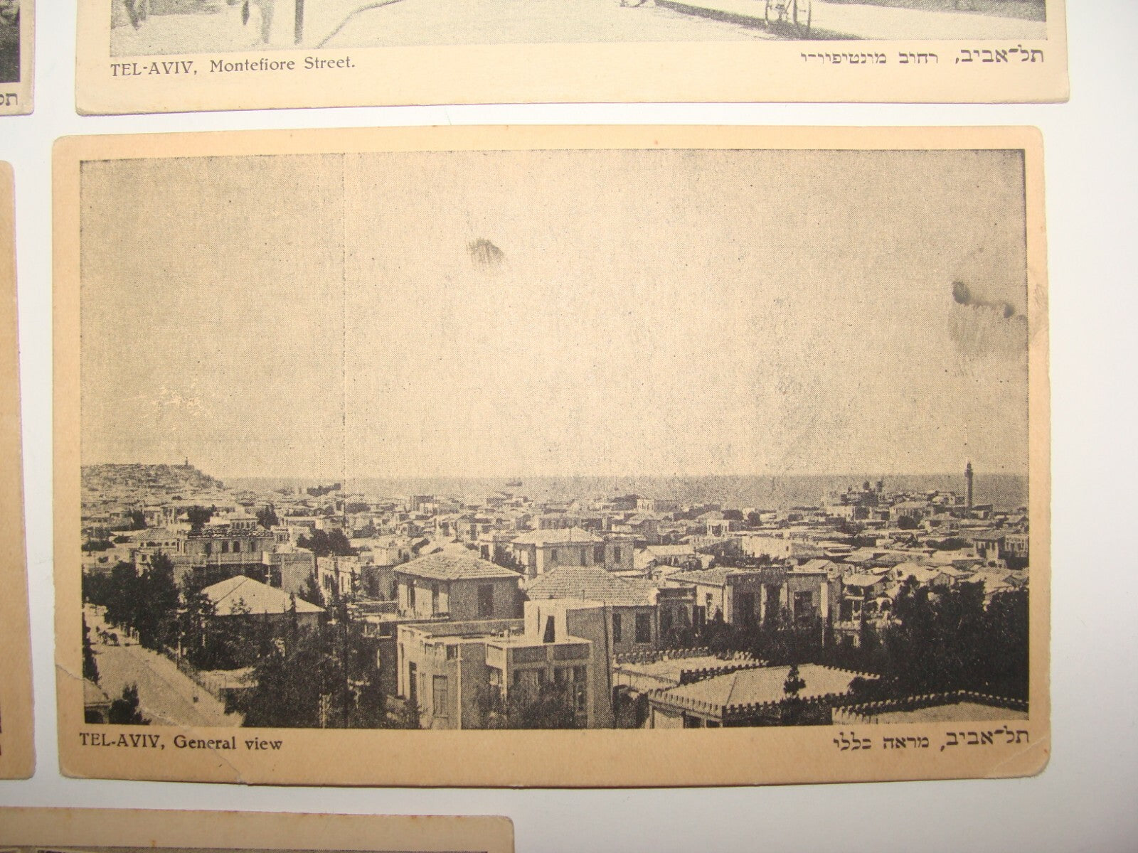 Photo Palestine Card Judaica Jewish Hebrew Israel TEL AVIV Barlevi Postcard Lot