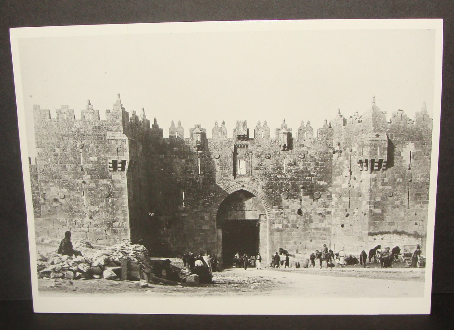 Photo Print Palestine HQ c.1899 Ottoman Jerusalem Damascus Gate Beasts of Burden