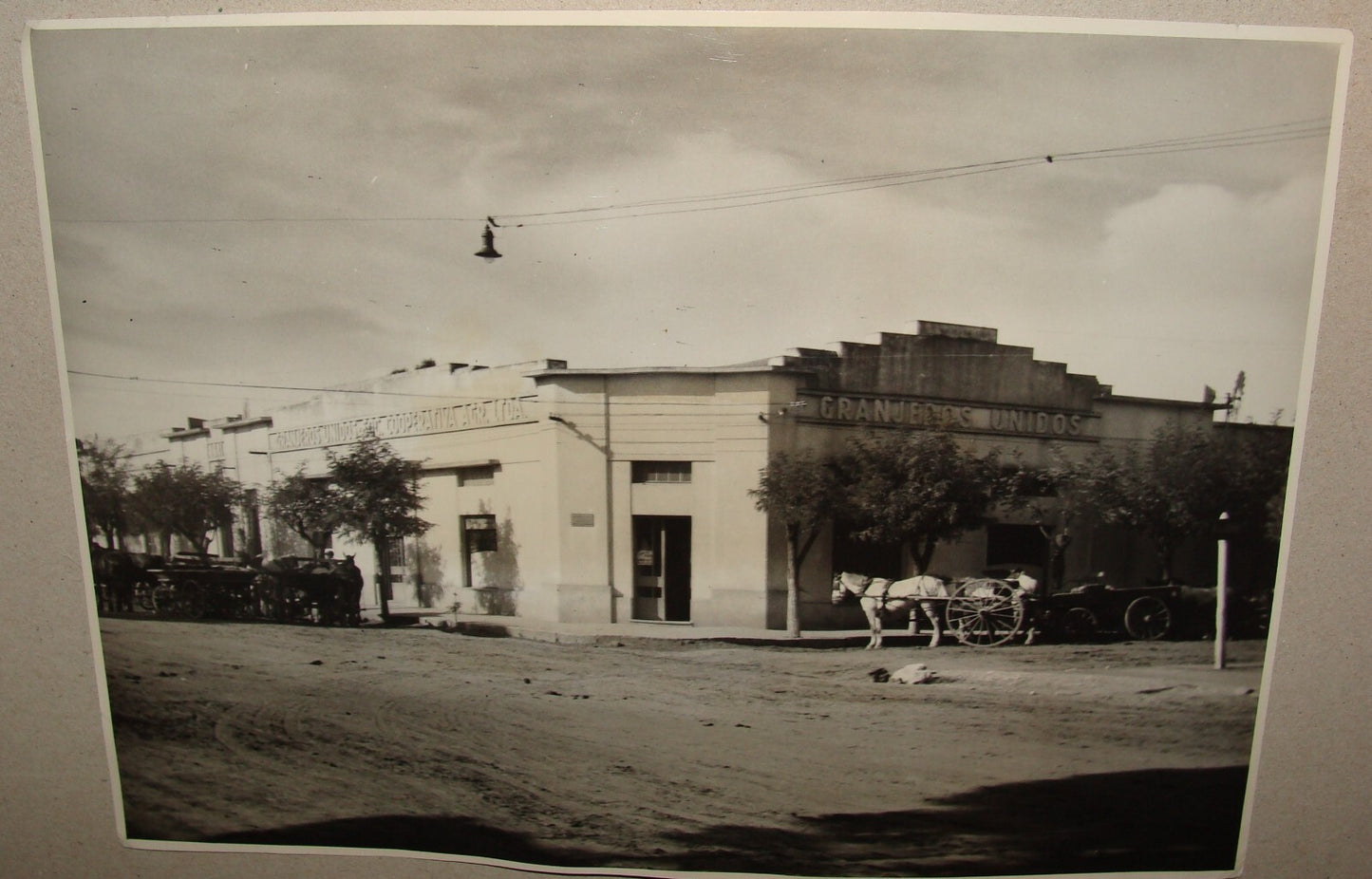 Photo Jewish 1964 Argentina Buenos Aires Colony Baron Hirsch Granjeros Unidos
