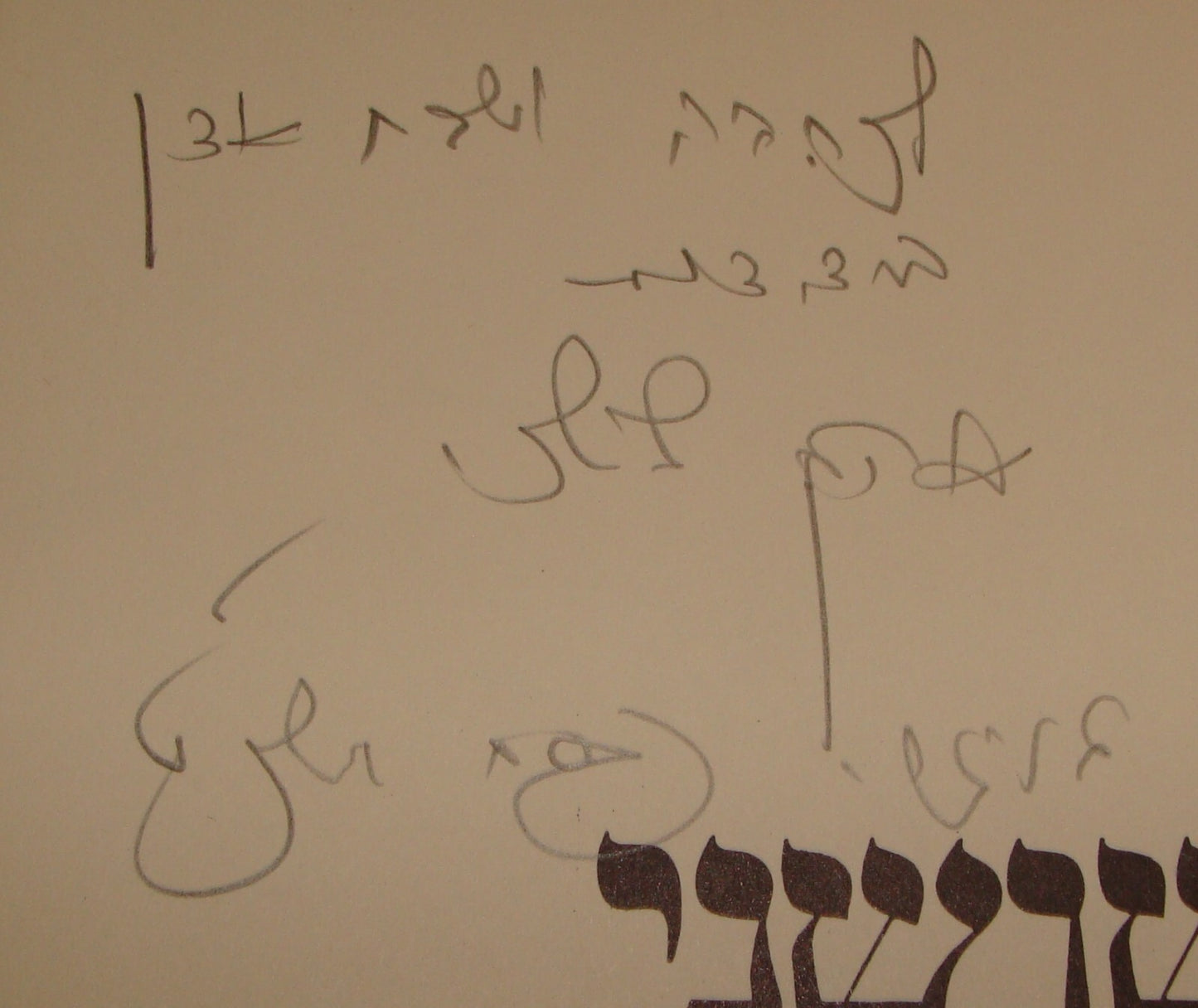 Book Jewish Judaica Israel Israeli SIGNED AHARON SHOSHANY Art Drawings