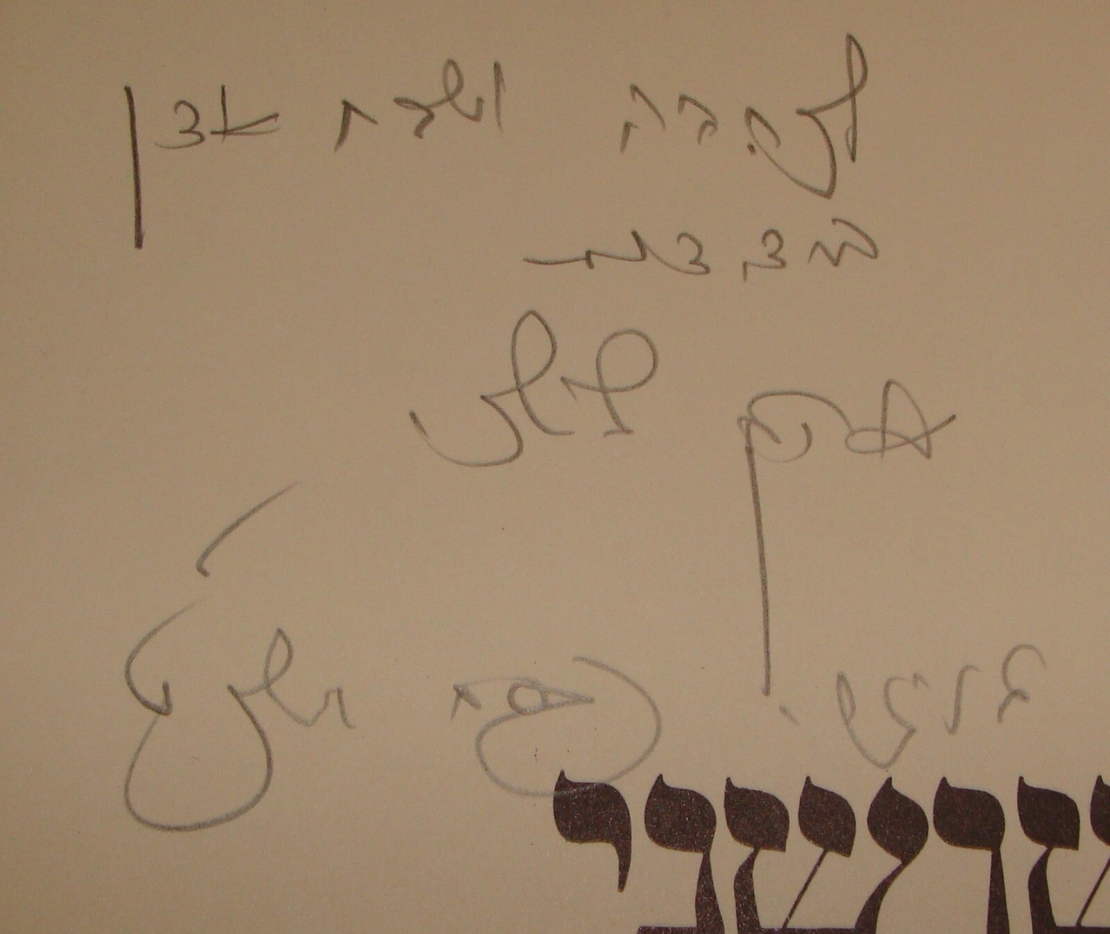 Book Jewish Judaica Israel Israeli SIGNED AHARON SHOSHANY Art Drawings