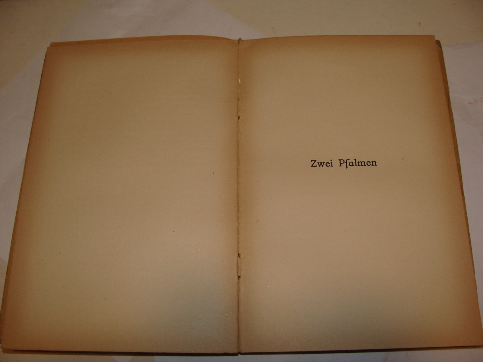 Germany Book Jewish Judaica 1918 German Berlin Hanukkah Chanukah