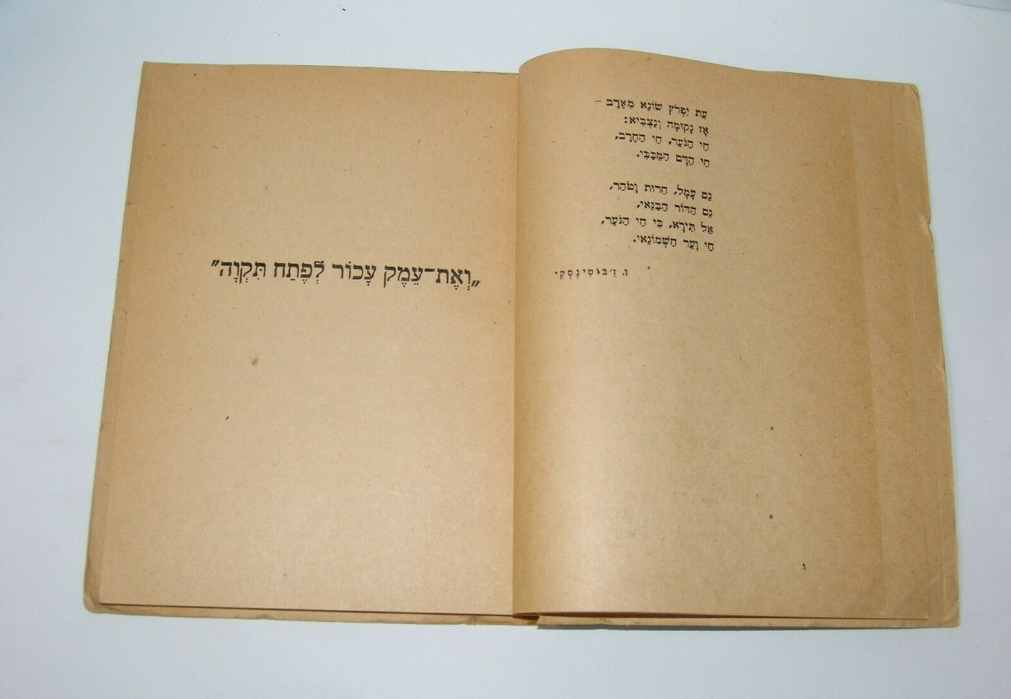 Book Jewish palestine israel Arab Petah Tikva 1921 Riots Memorial Hebrew