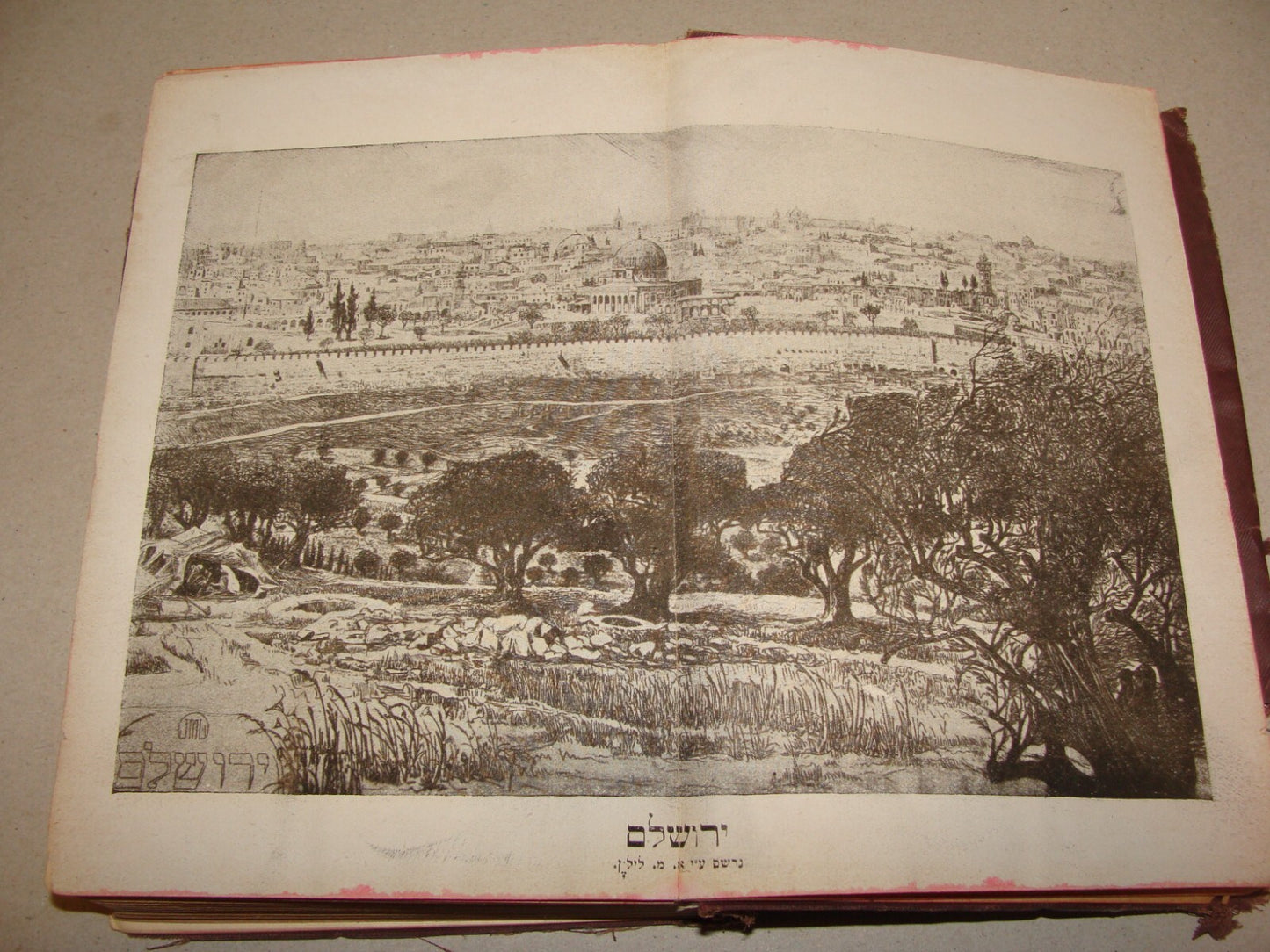 Book Jewish Judaica 1921 Palestine Israel Travel Map Hebrew J. PRESS Vienna