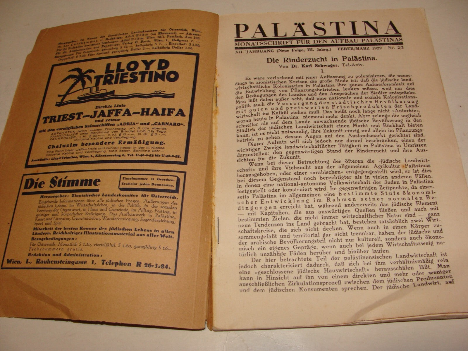 Jewish Judaica 1929 German Austria Vienna Palestine Monthly Zionist Israel