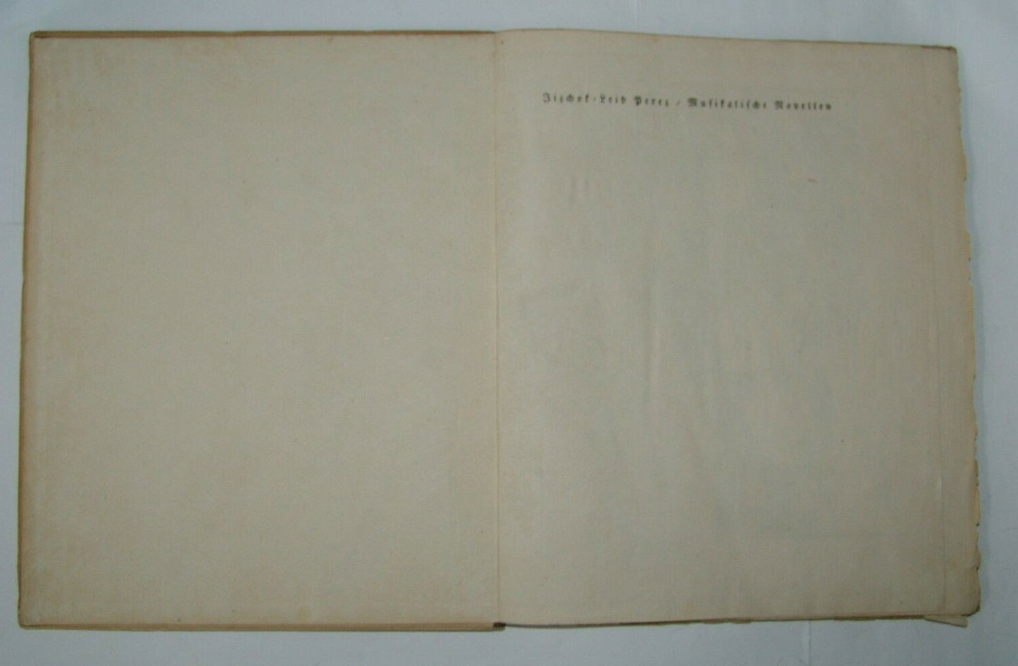 Book Jewish Berlin Musikalische Novellen I L Peretz Steinhardt lithography 1920