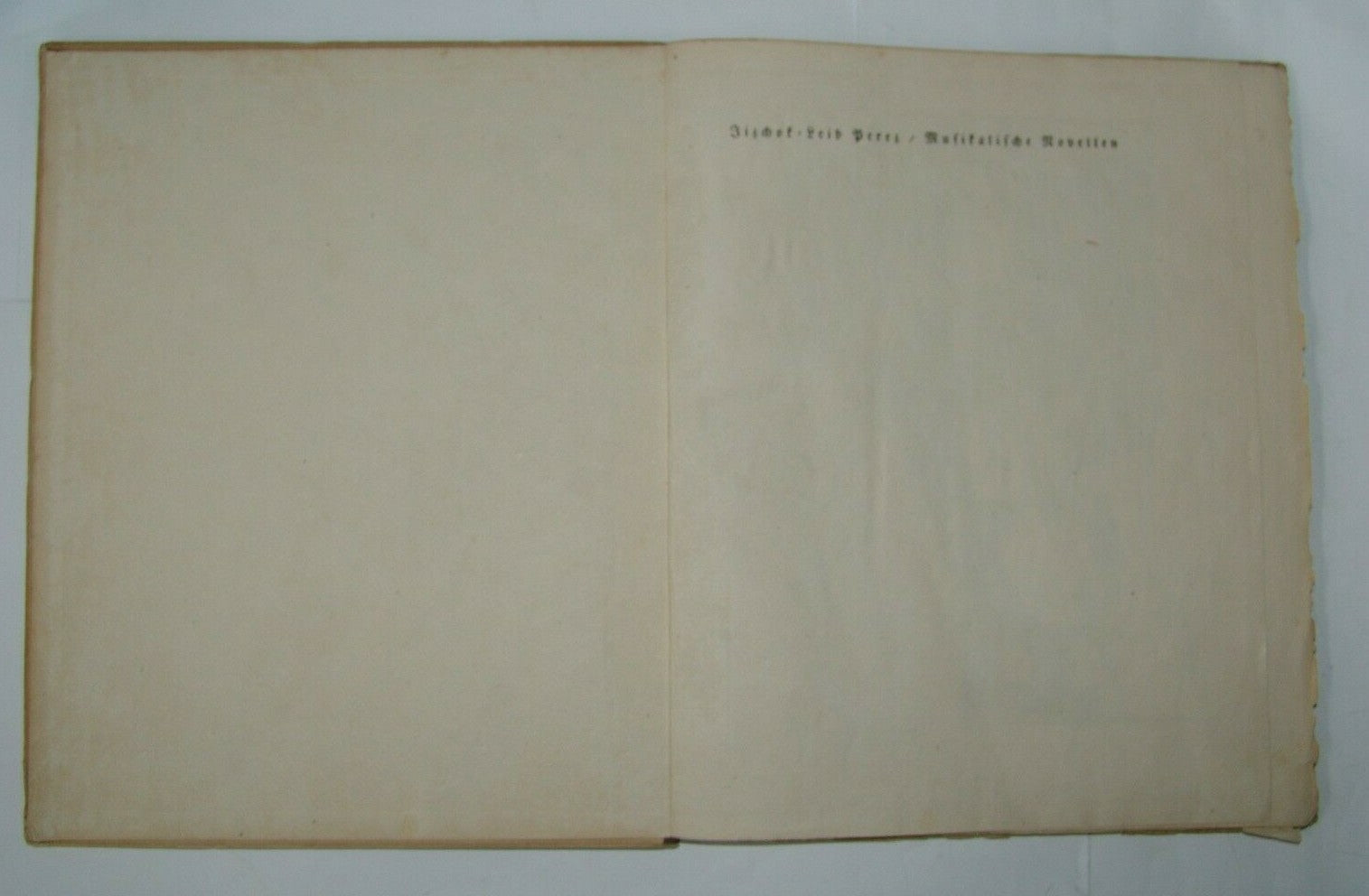 Book Jewish Berlin Musikalische Novellen I L Peretz Steinhardt lithography 1920