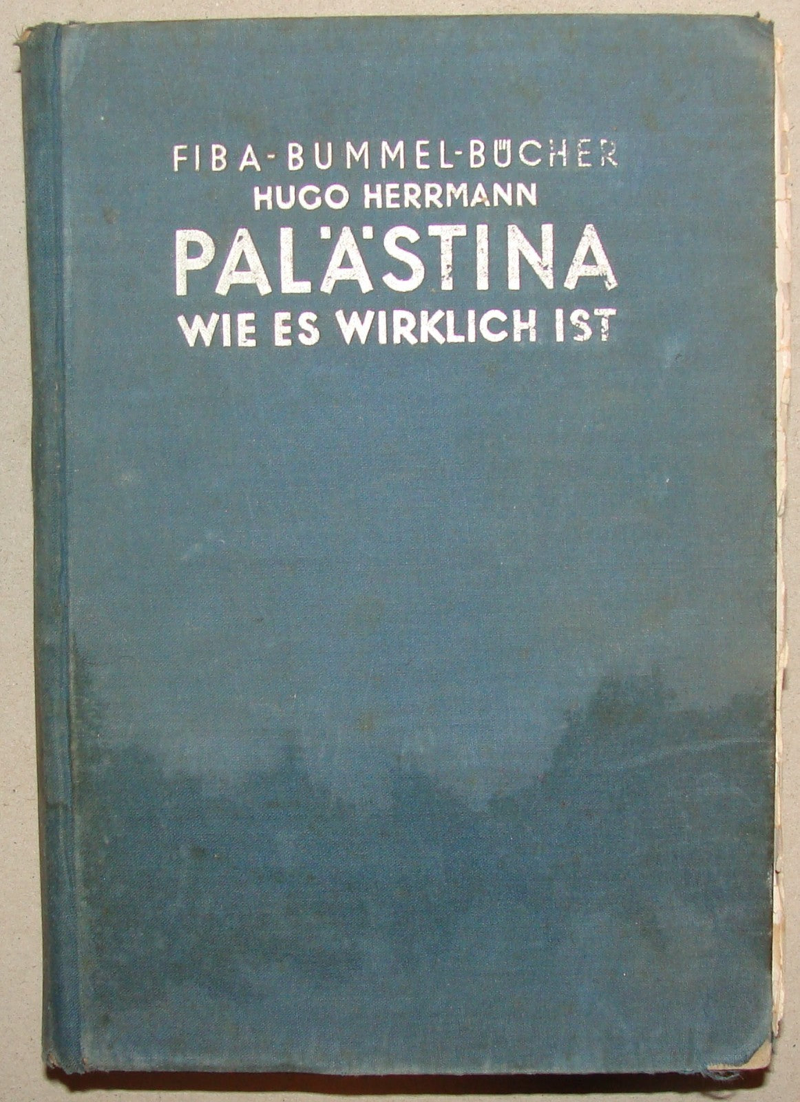 Germany Book Jewish 1933 PALESTINE Israel Hugo Herrmann Zionist Pioneers German