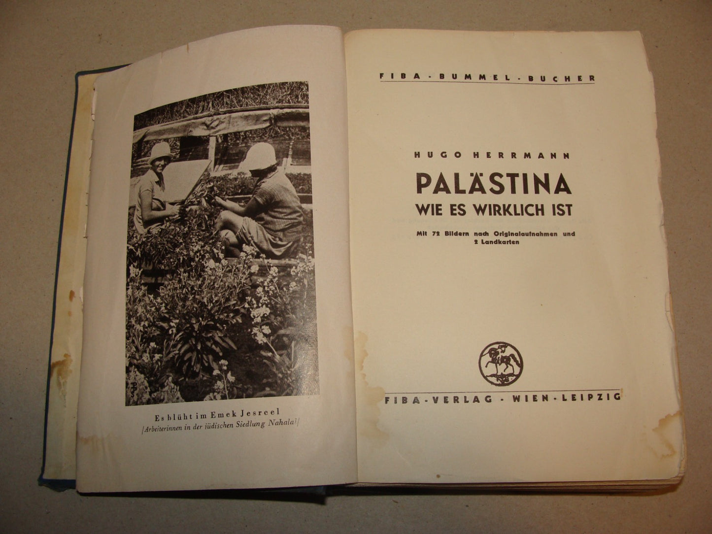 Germany Book Jewish 1933 PALESTINE Israel Hugo Herrmann Zionist Pioneers German