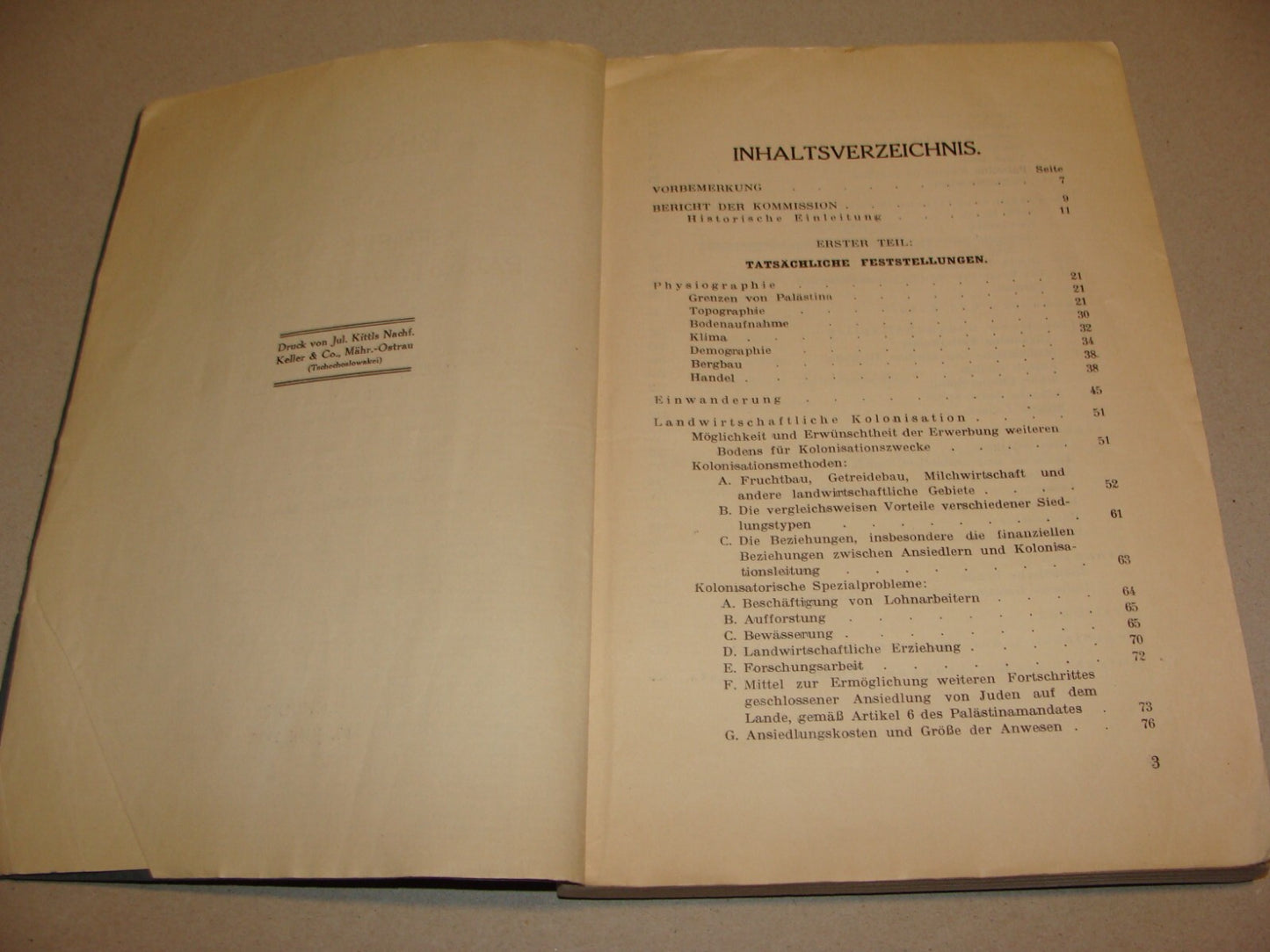 Report Palestine RARE 1928 London Joint Survey Commission German Jewish Zionist