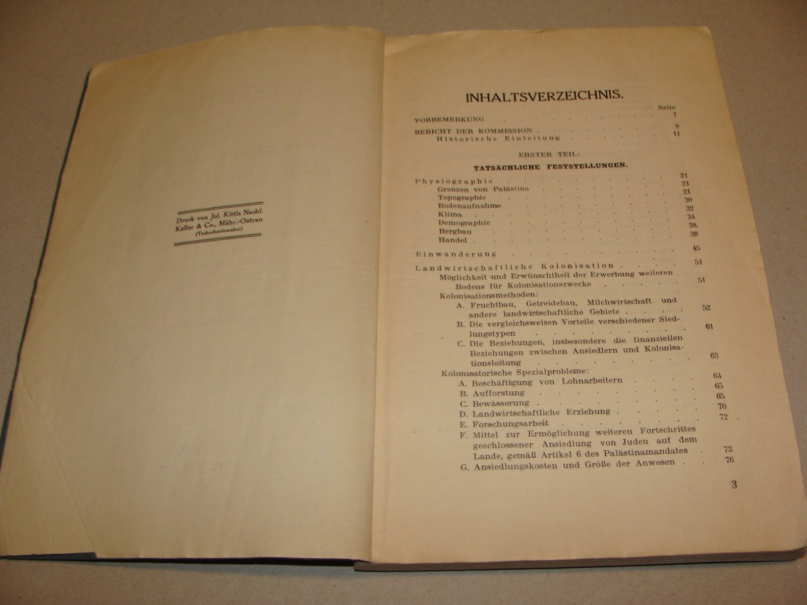 Report Palestine RARE 1928 London Joint Survey Commission German Jewish Zionist