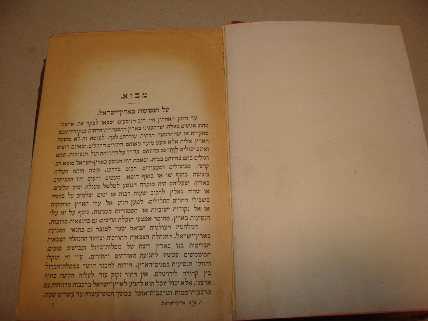 Jewish Judaica 1921 Palestine Israel Travel Book Map Hebrew J. PRESS Vienna