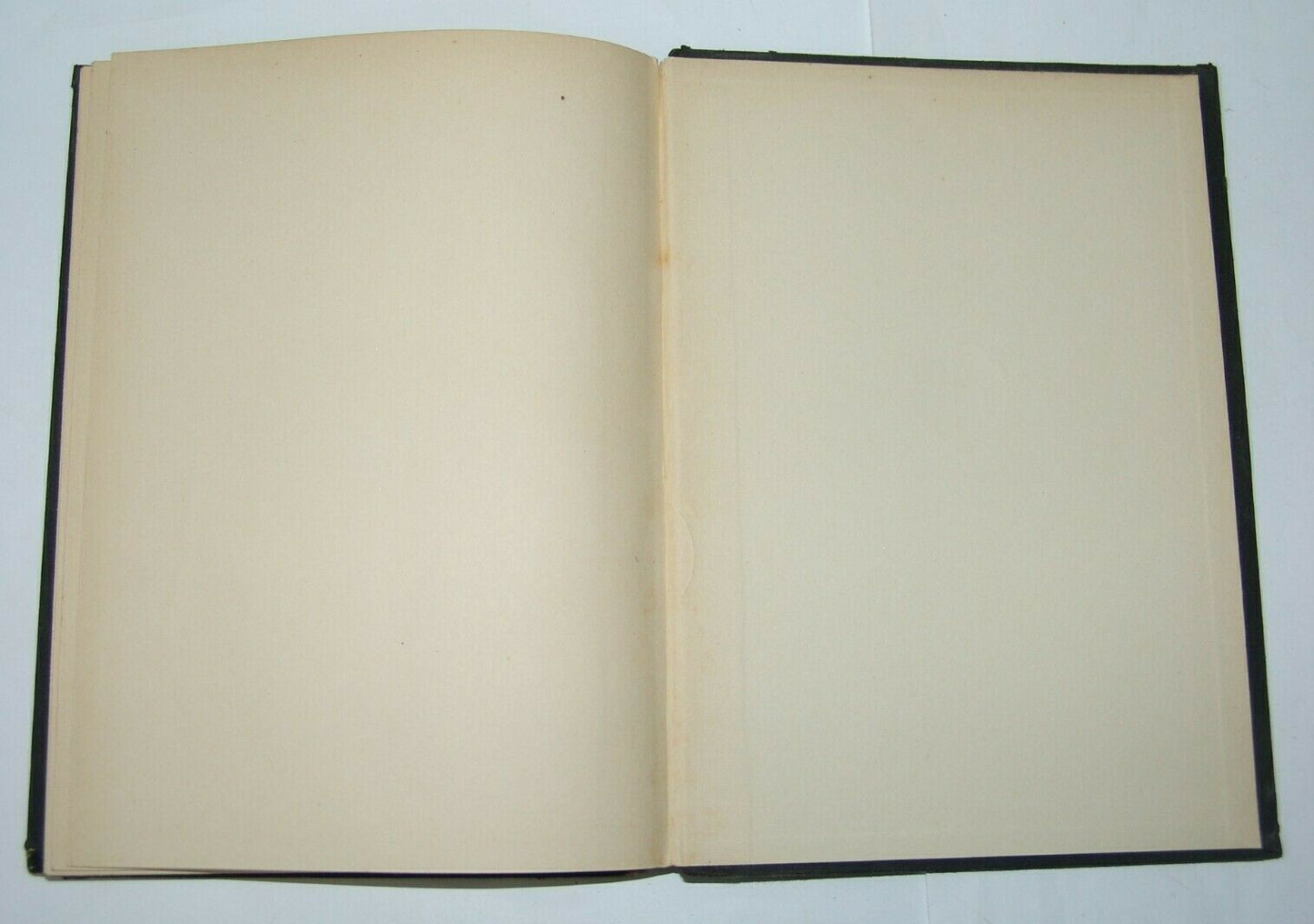 Jewish Judaica zionist zionism Das Leben Theodor Herzls Herzl by Friedemann 1914