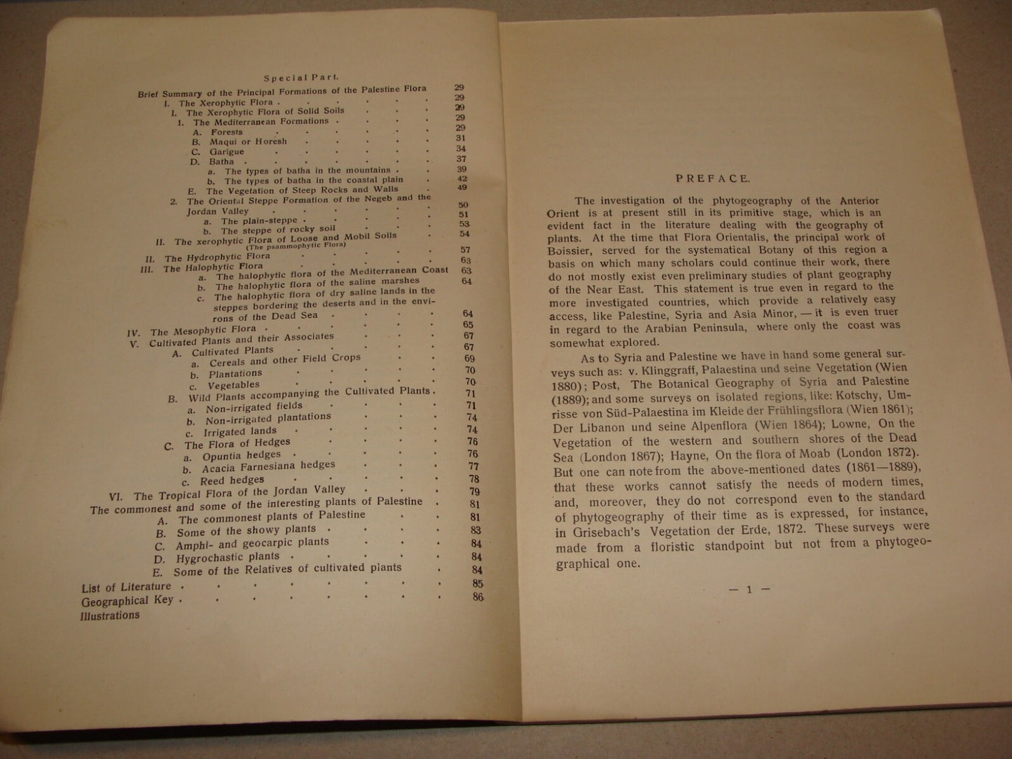 Book Jewish 1927 VEGETATION OF PALESTINE Israel EIG Agriculture Zionist Medical