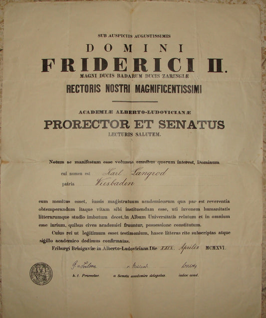 Germany 1916   University Freiburg Certificate Diploma Latin Alberto-Ludoviciana