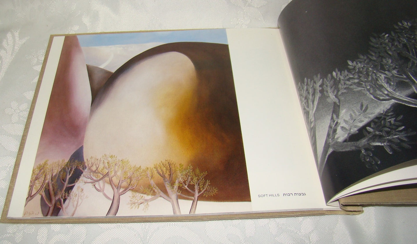 Book Jewish Judaica Israel Israeli Artist Naftali Bezem נפתלי בזם Art 1980