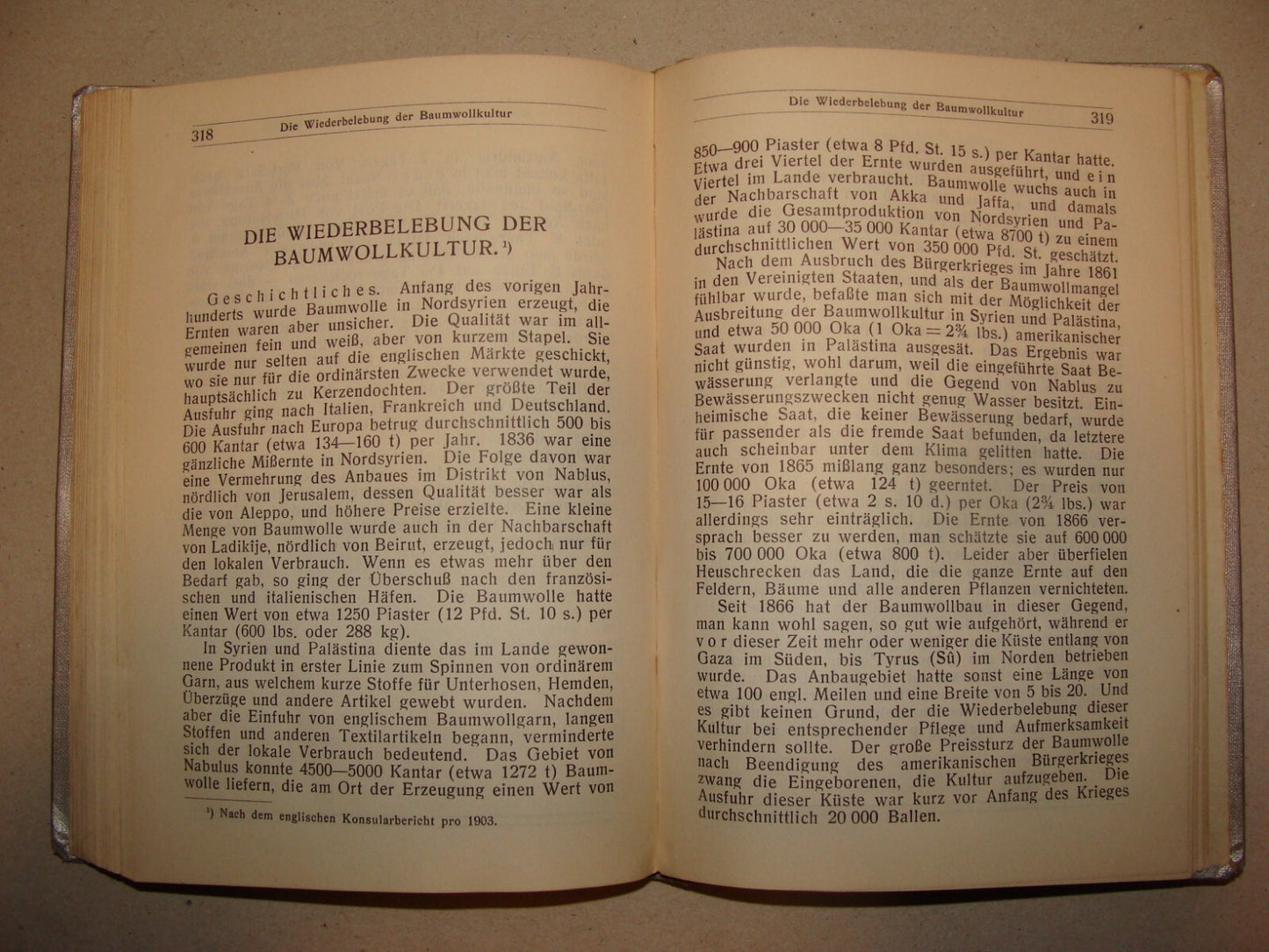 Germany Book Jewish Judaica 1912 Palestine Israel Guide Trietsch German   Map