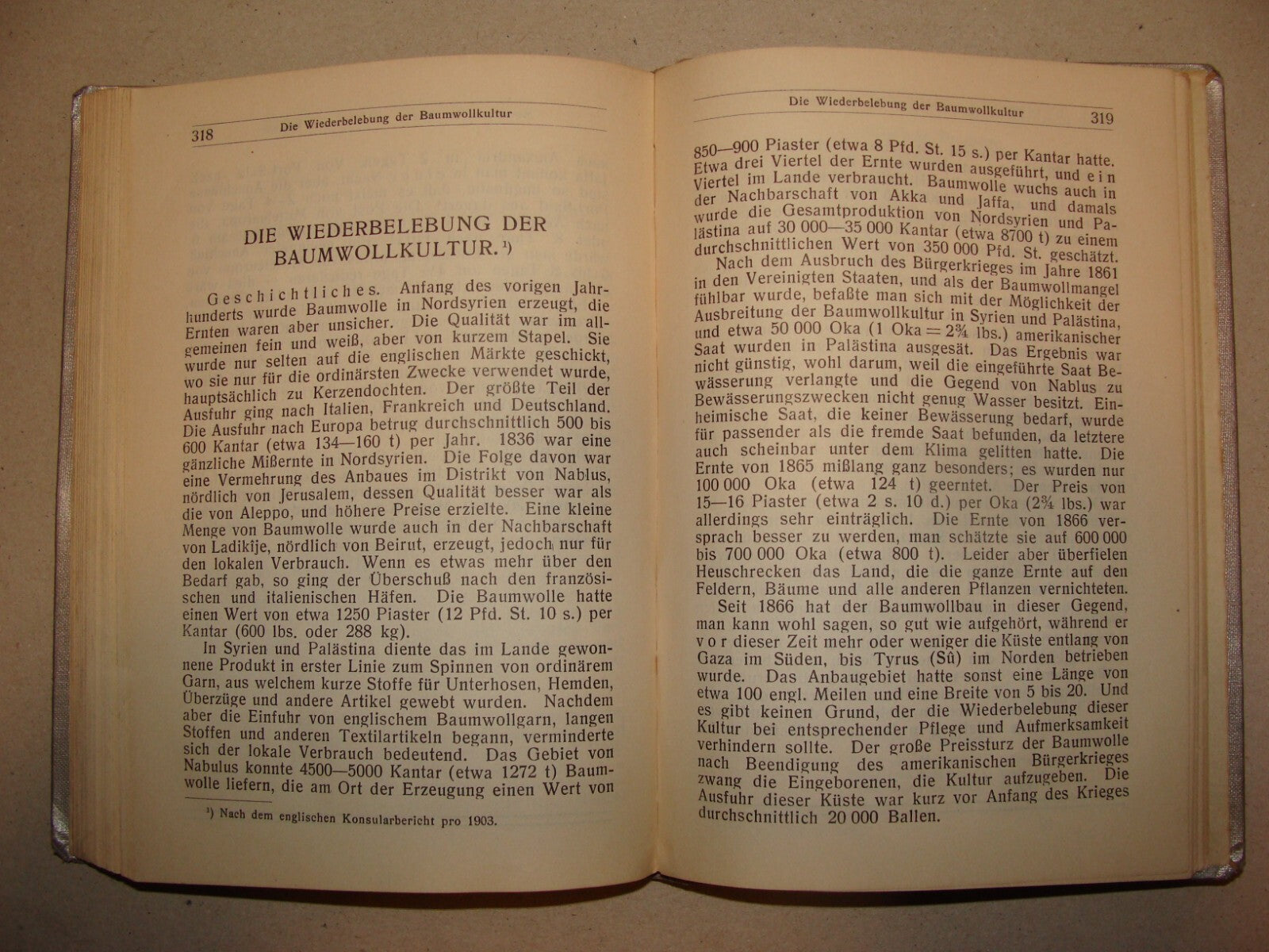 Germany Book Jewish Judaica 1912 Palestine Israel Guide Trietsch German   Map