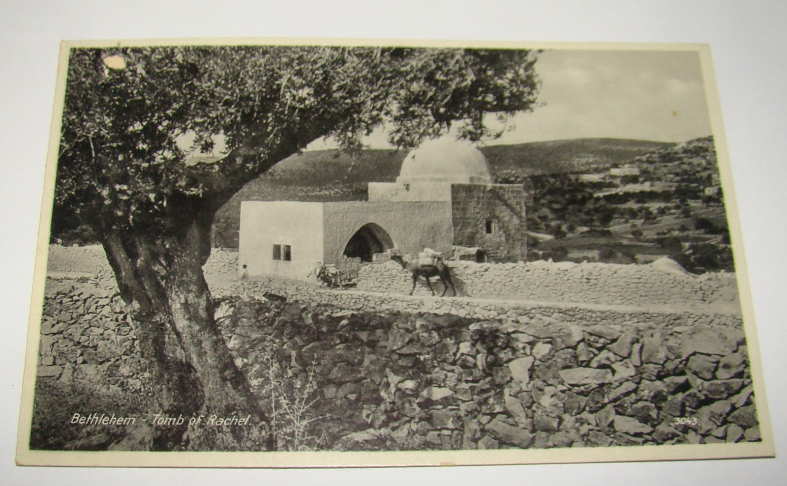 Photo Palestine Card Postcard Lehnert & Landrock Bethlehem Tomb of Rachel Jewish