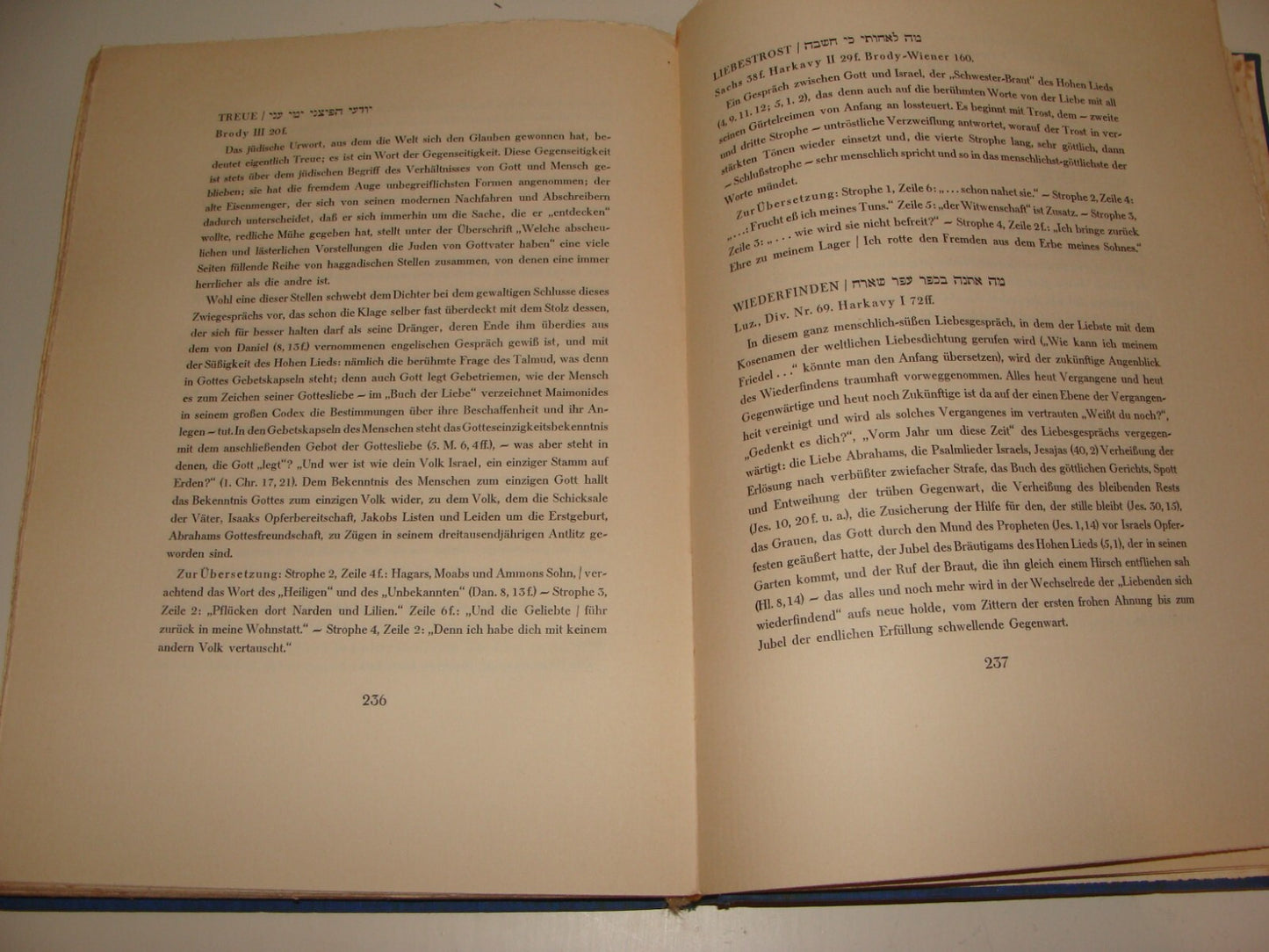 Germany Book Jewish Judaica 1926 German   Rabbi Jehuda Halevy Songs Poetry Poems