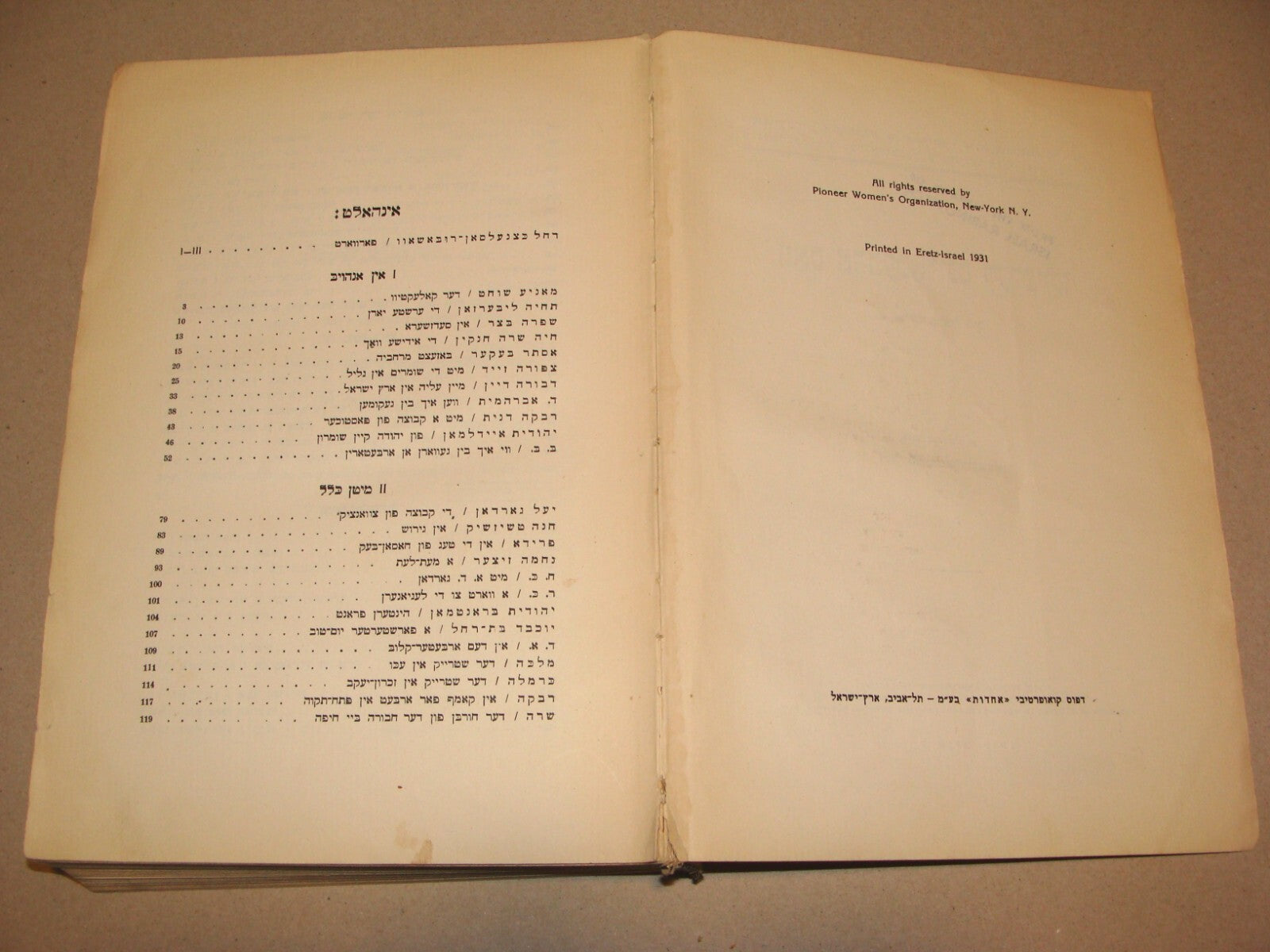 Book Jewish Judaica 1931 Palestine Israel Yiddish Zionist Women Rachel Ben Zvi