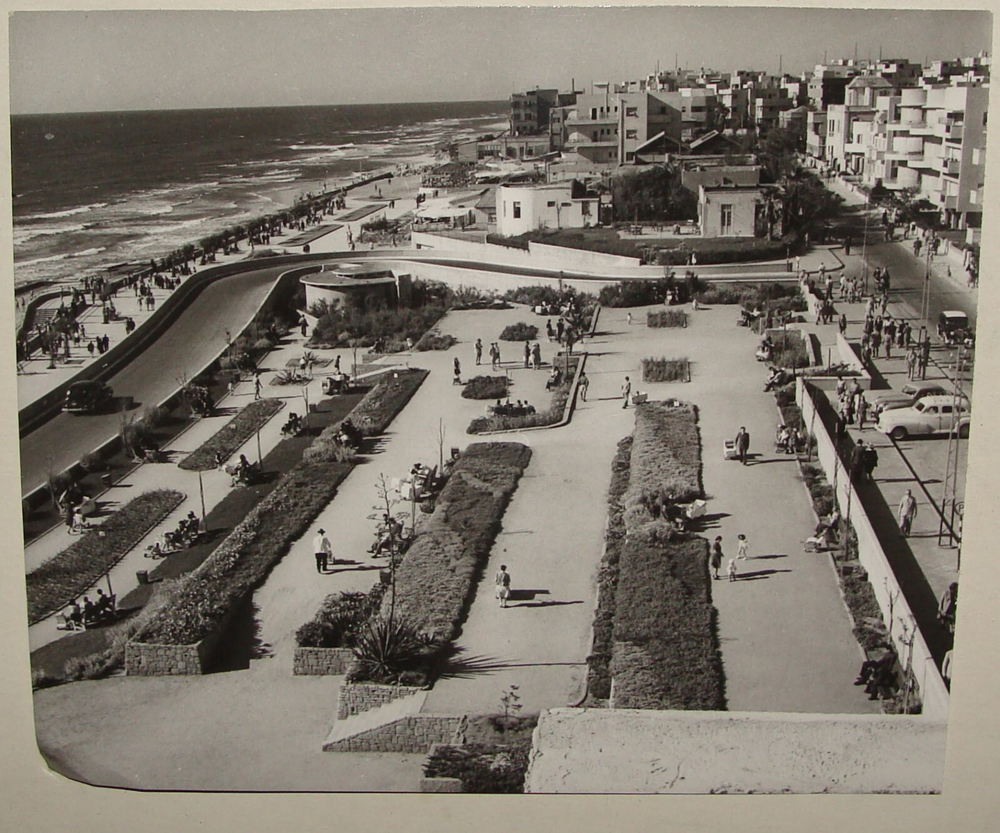 Photo Print Palestine Ad Jewish Judaica 1940s Israel Tel Aviv Promenade