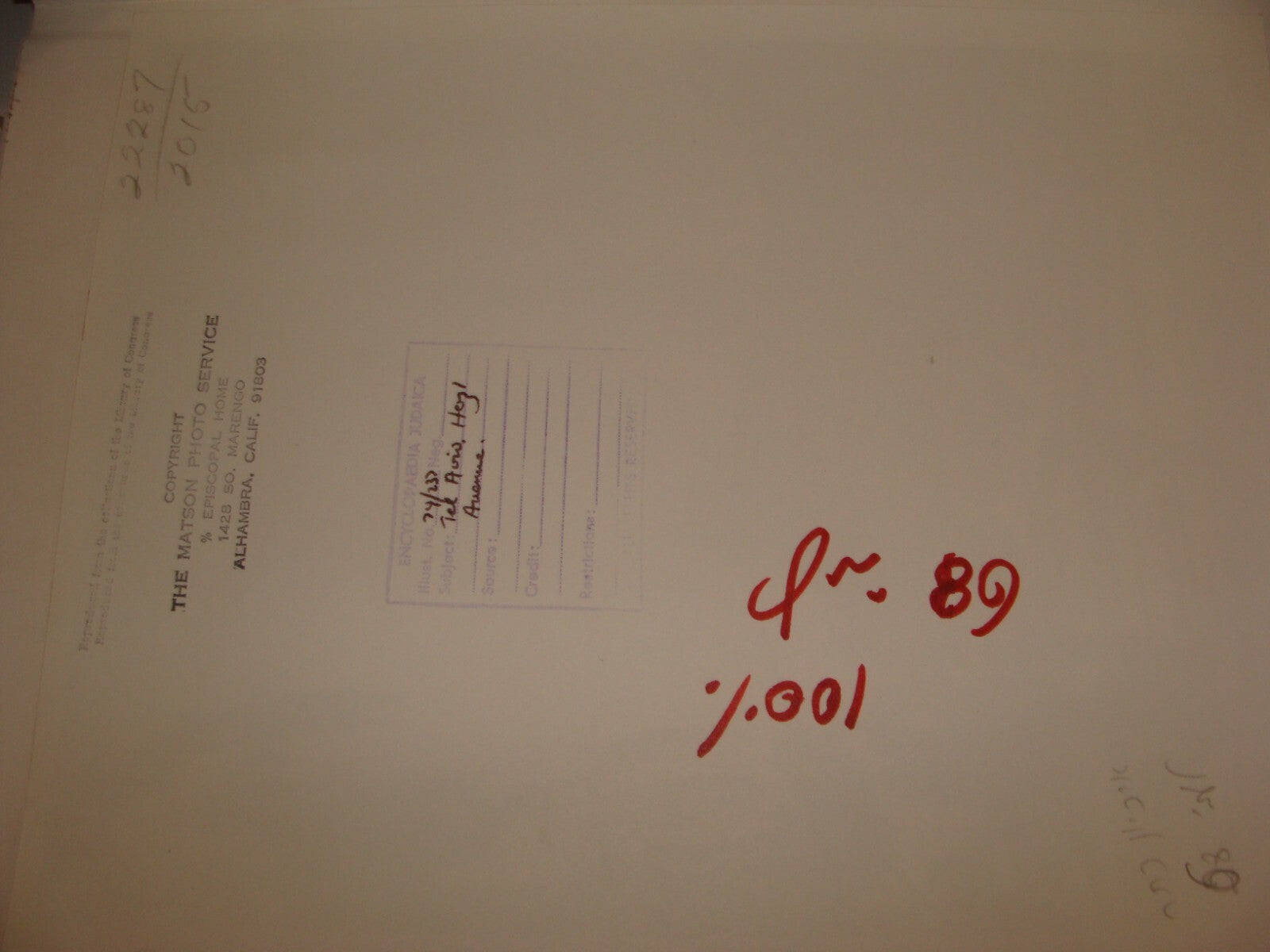 Photo Print Palestine MATSON , 1920s Israel TEL AVIV Herzl Avenue Jewish Hebrew