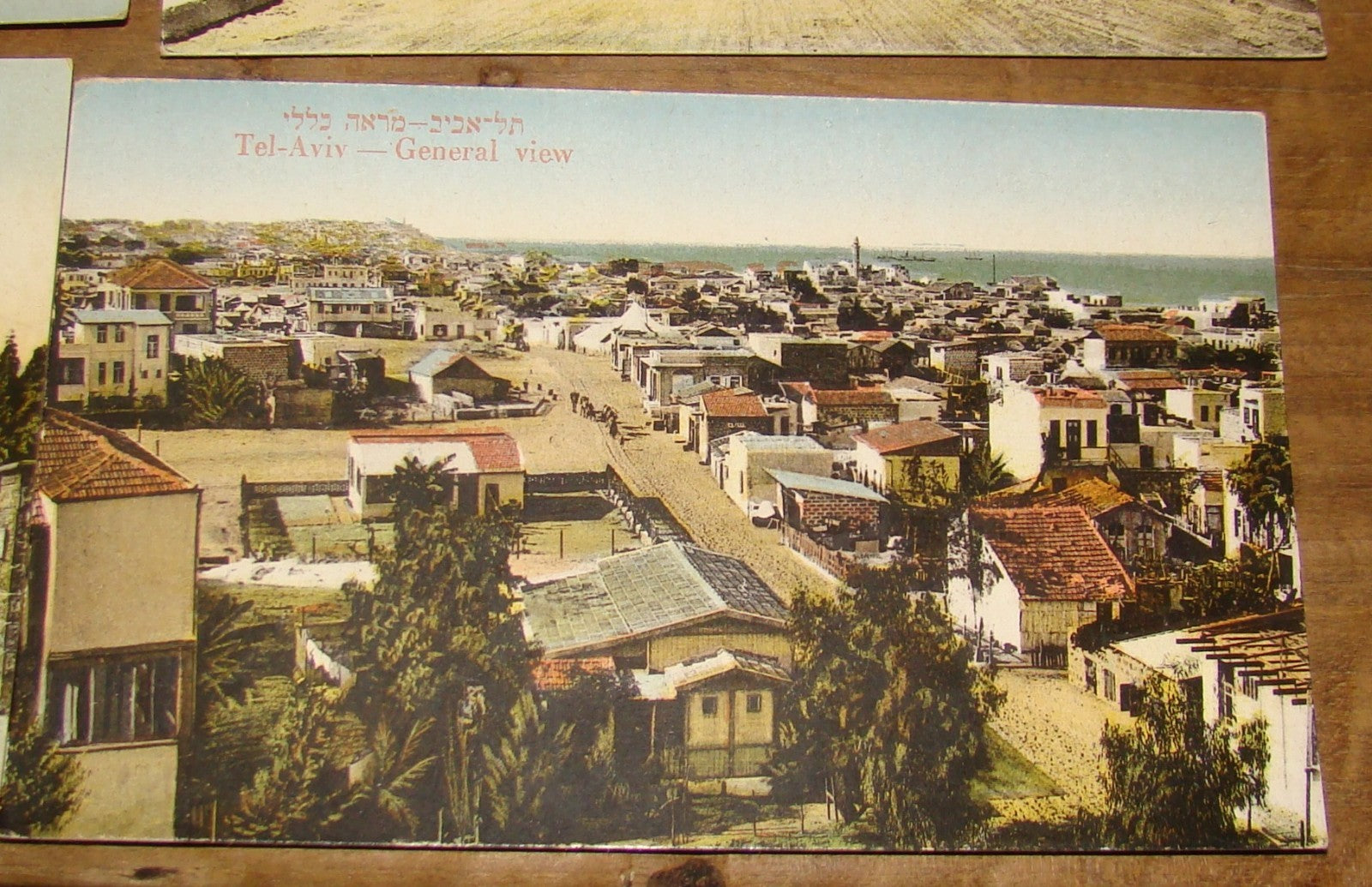 Photo Palestine Card judaica jewish Israel Moshe Ordmann postcard TEL AVIV ארדמן