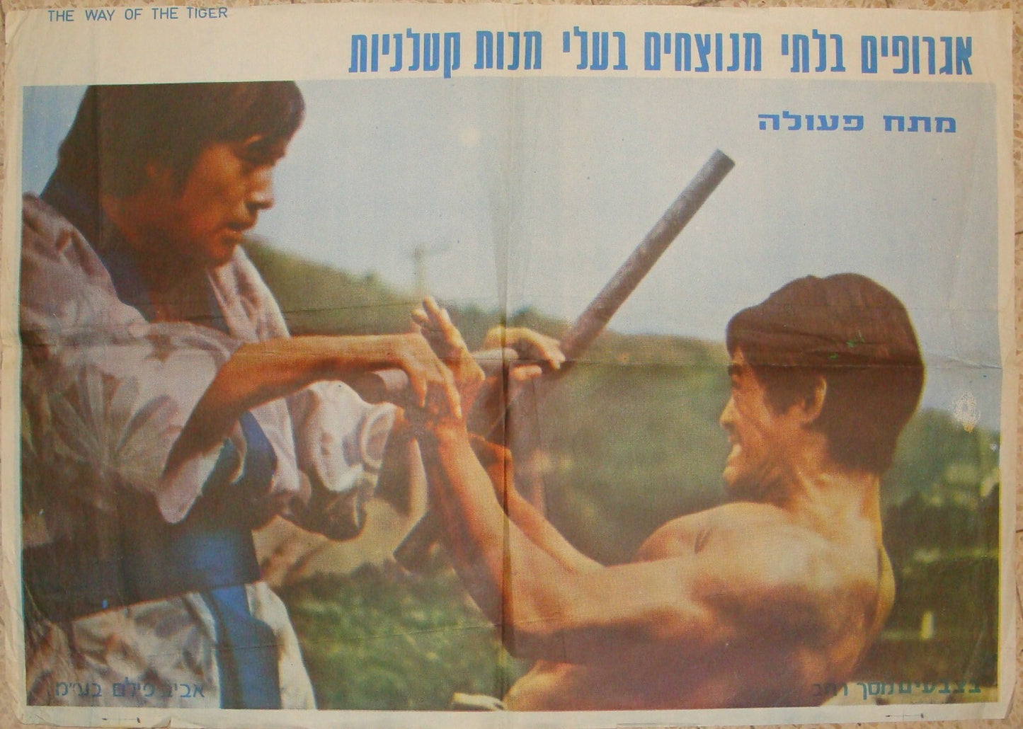 POSTER Israel 1973 CHALLENGE THE DRAGON WAY OF THE TIGER MOVIE KUNG FU TONG LUNG