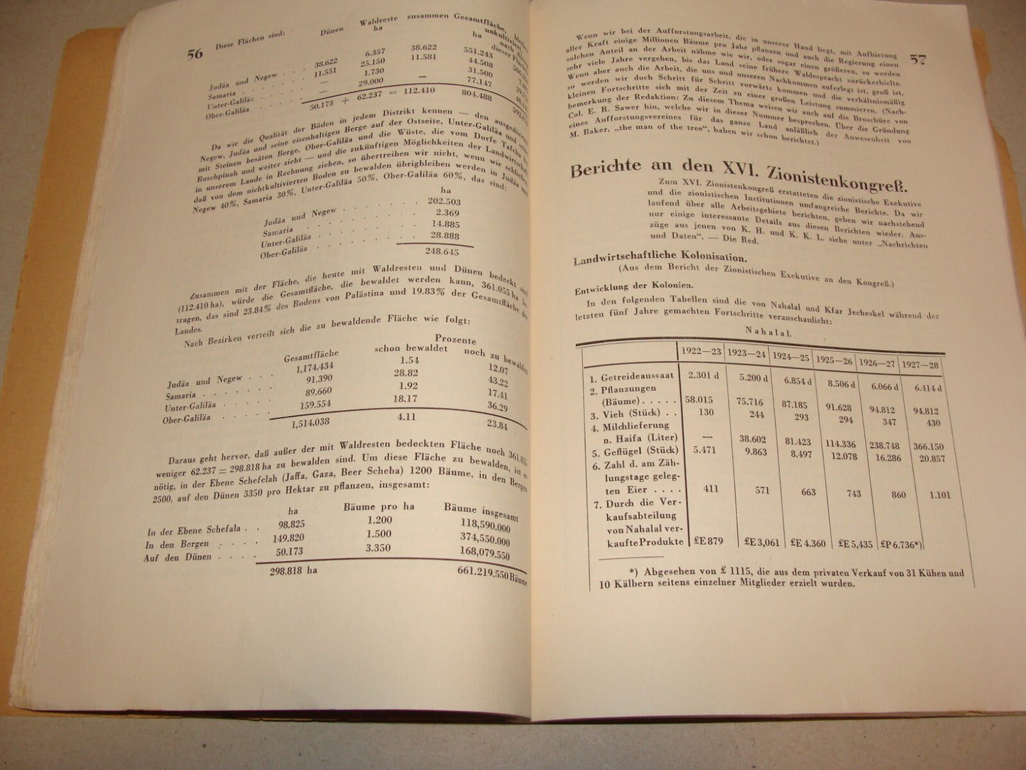 Jewish Judaica 1920s-30s PALASTINA Monthly Zionist German Palestine Israel X5