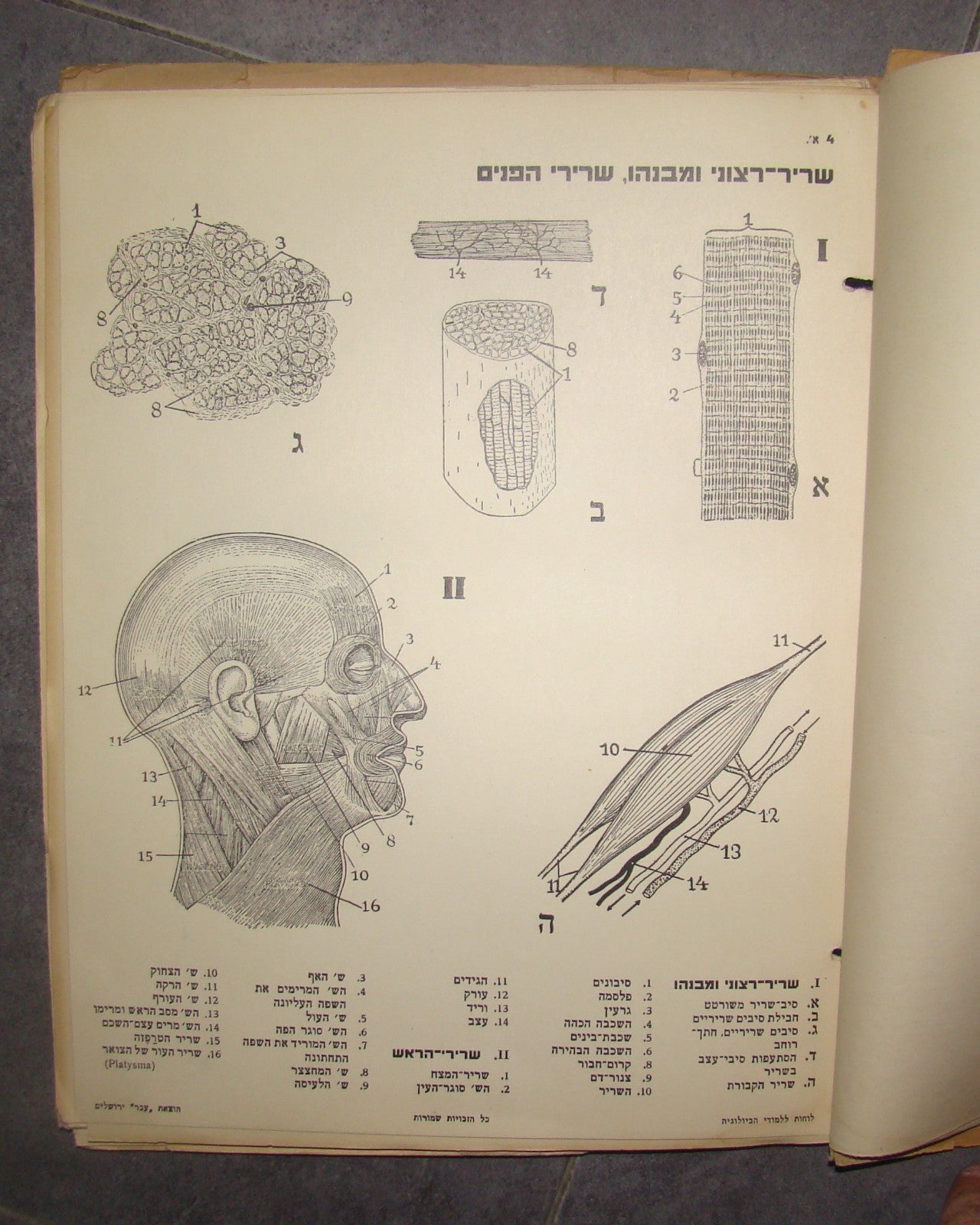 Book Jewish hebrew palestine eretz israel Biology Atlas by Ever Science Zvi Lev