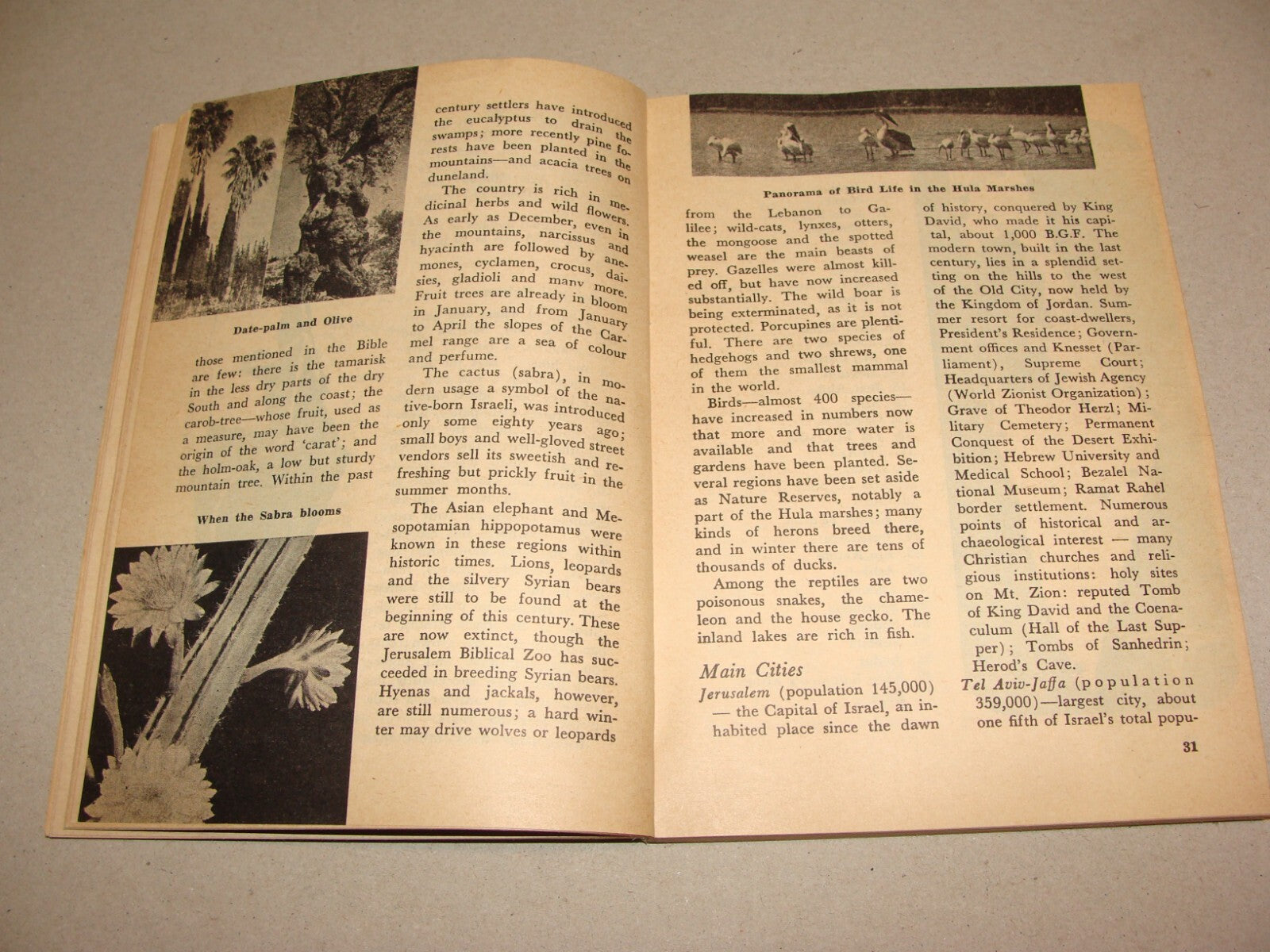 Book Jewish Judaica 1957 Israel Israeli Facts Guide Information History Map