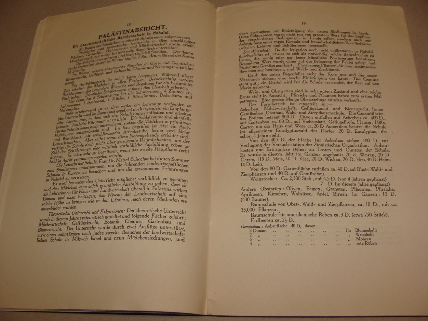 Report Jewish 1927 Judaica London UK Women Zionist Conference WIZO German