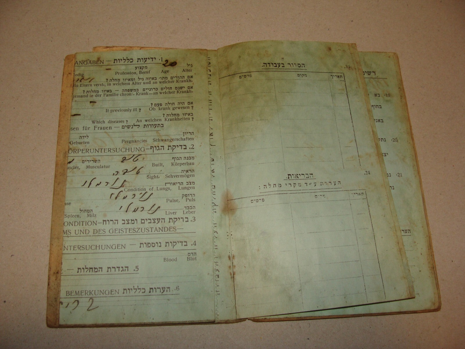 1933 Jewish Agency For Palestine Israel Zionist Immigrant Certificate Bucharest