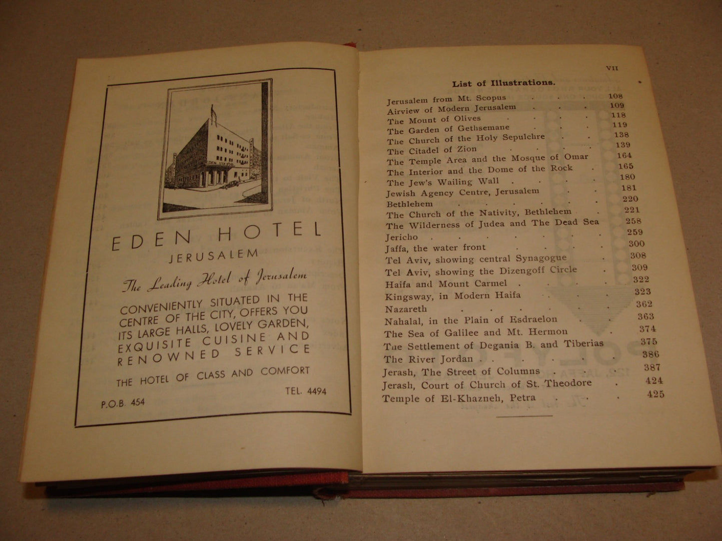 Book Palestine Guide including Trans Jordan Travel 1946 Israel Jerusalem Matson