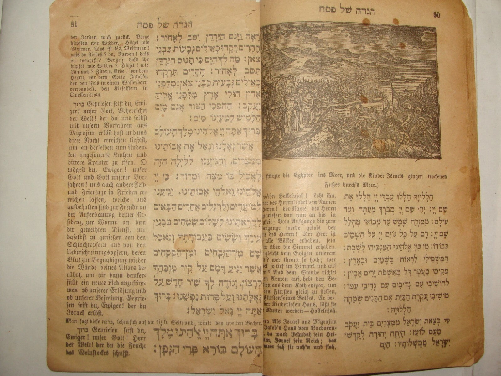 Ad Jewish Judaica 1917 Passover Pesach Haggadah Wien Vienna German Budapest