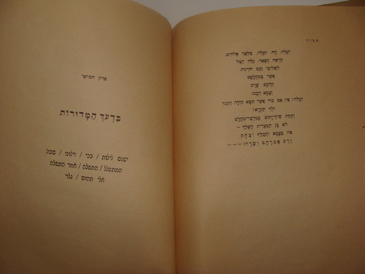 Book Jewish Judaica Palestine Israel 1927 MASSADA Hebrew 1ST EDITION Poems Songs