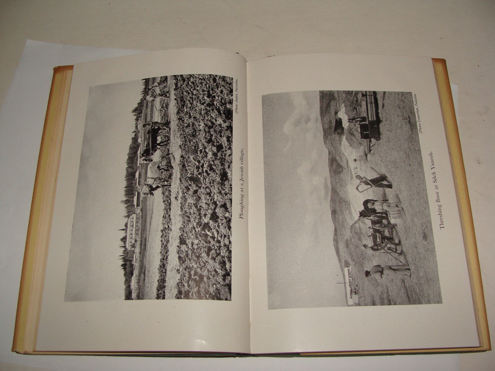 Book Jewish Zionism 1944 YOUTH COMES HOME Palestine Israel Immigration Pioneers