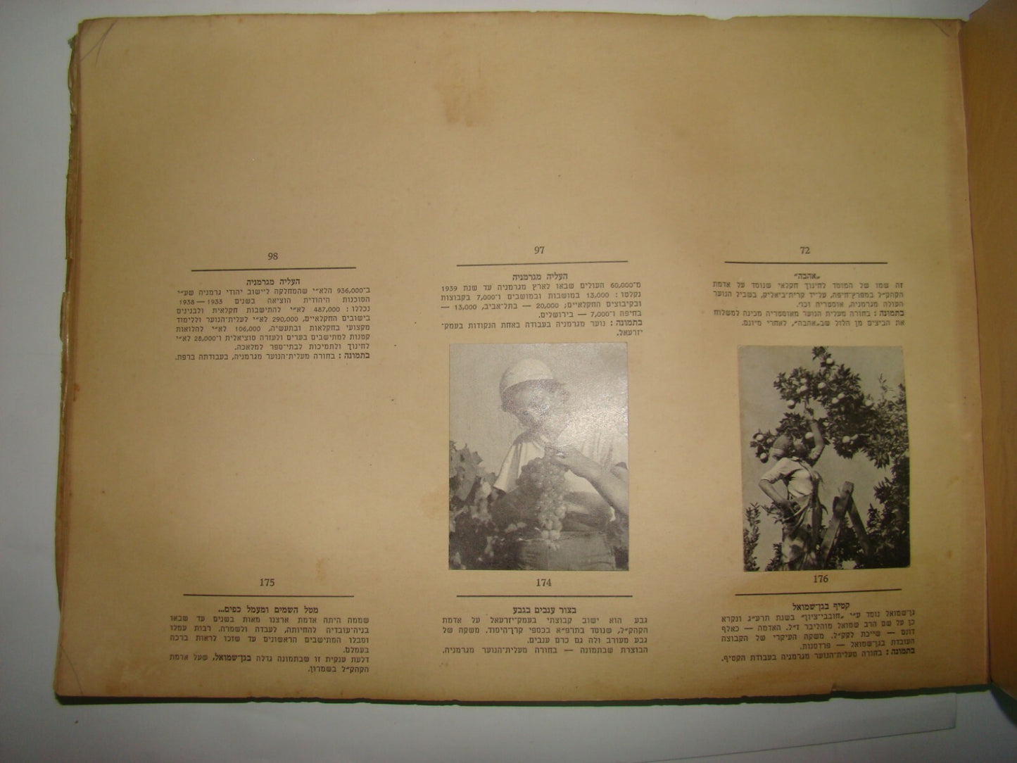 Card Palestine RARE Jewish Judaica Israel Zionist 1939 Album Cigarettes + 78