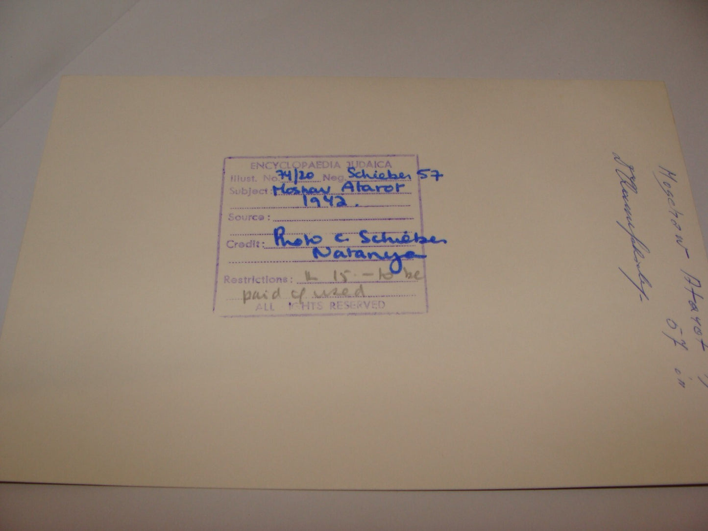 Photo Palestine Jewish Judaica Israel Moshav Atarot 1942