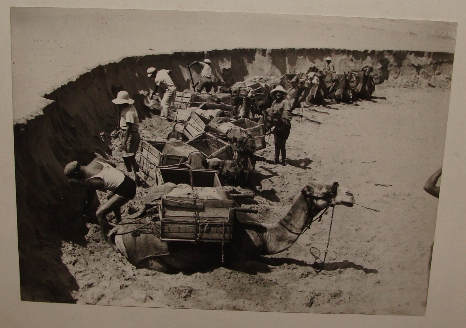 Photo Print 1939 Palestine Israel Judaica Jewish Hebrew Pioneers TEL AVIV KLUGER