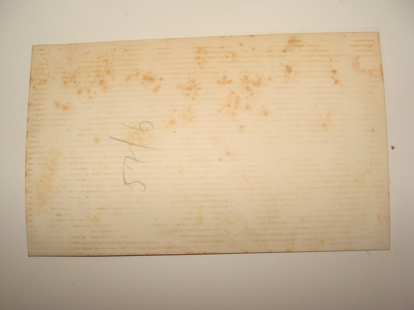 Photo Palestine Jewish Judaica Israel 1946 Tour Guide Zeev Vilnai זאב וילנאי