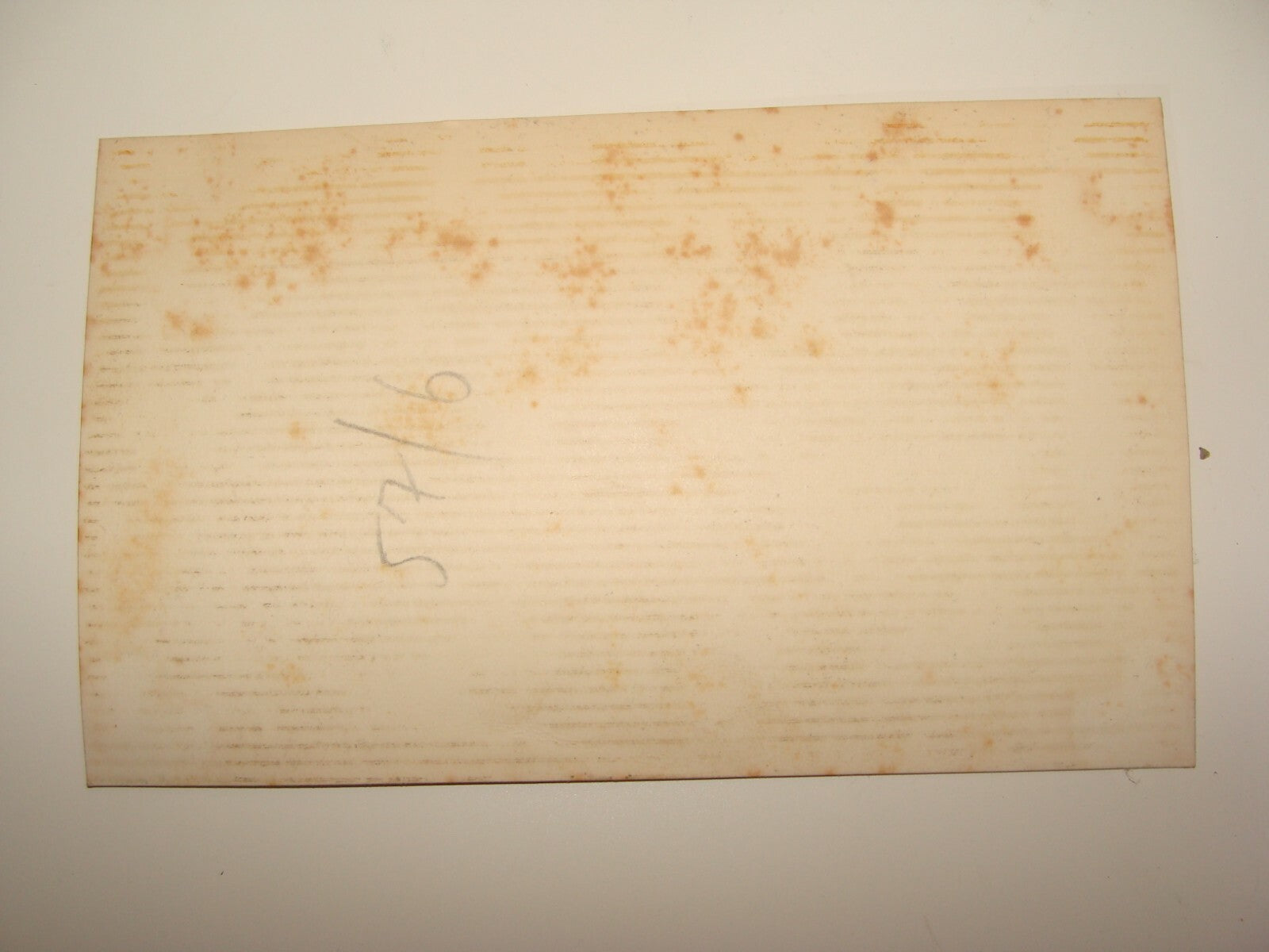 Photo Palestine Jewish Judaica Israel 1946 Tour Guide Zeev Vilnai זאב וילנאי