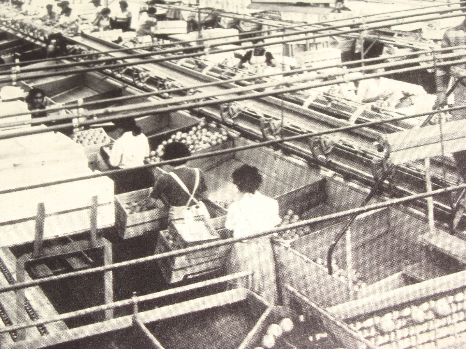 Photo Jewish 1950s Israel Israeli NATANYA Natania Guide Brochure Album Hebrew