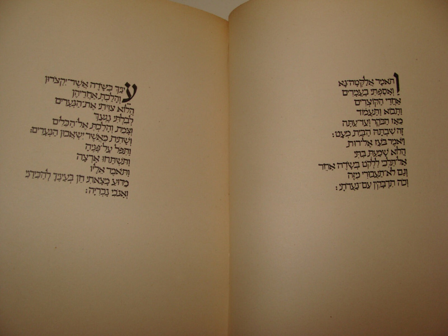 Book Jewish Judaica 1949 Israel Israeli Hebrew Ruth Scroll Art Drawings