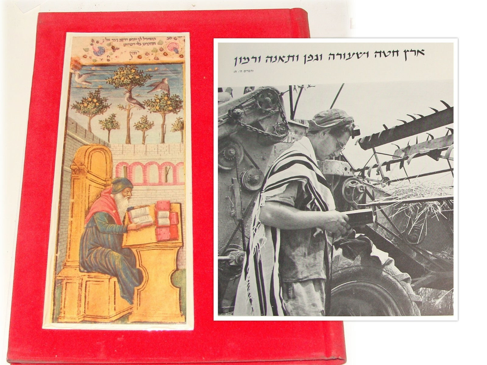 Book Jewish Judaica Israel 1958 Religious Life Album Rabbi Synagogue Jerusalem